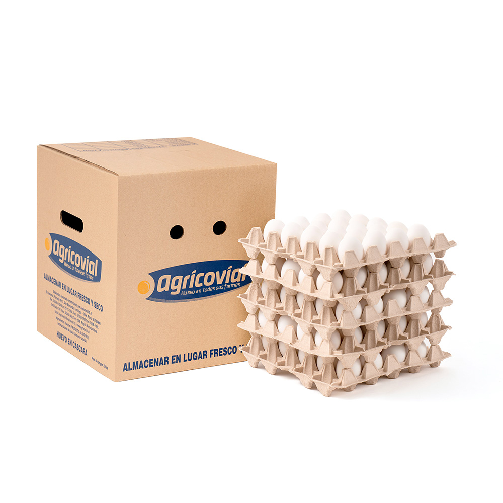 H-S-J-XL-B-TORRE-CAJA-2024.jpg