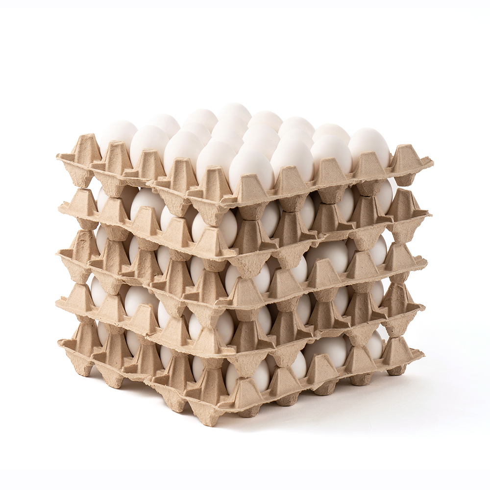 Huevo Super Blanco (68 a 73,9 g) Caja de 100 unidades - Imagen 3