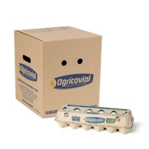 Pack Huevo Blanco Primera (54 a 60,9 g) de 15 docenas (180 unidades)